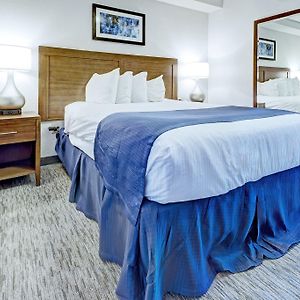 Standard One-Bedroom King Room